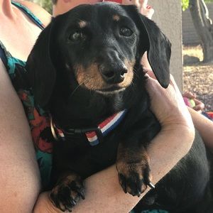 Meet your Posher, Ava